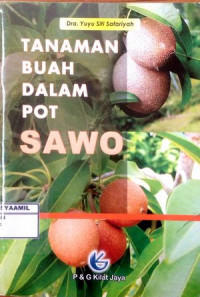 Image of Tanaman Buah dalam Pot: Sawo