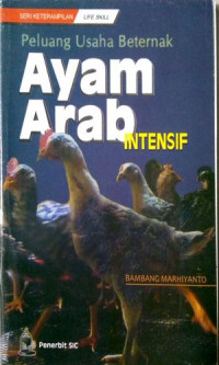Image of Peluang Usaha Beternak Ayam Arab Intensif