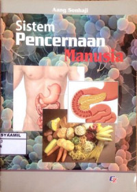 Image of Sistem Pencernaan Manusia