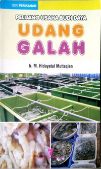 Image of Peluang Usaha Budi Daya Udang Galah