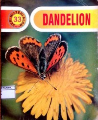 Image of Dandelion